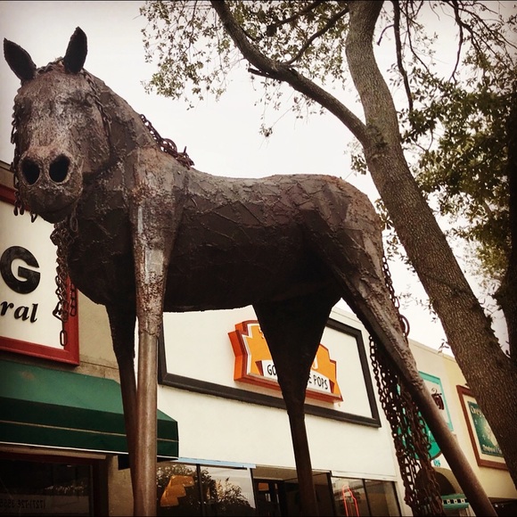 Meet your Posher, Melinda - Picture 14 of 16